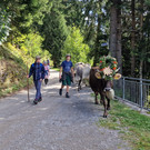 Wasserstube12.jpg