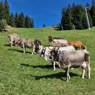 Wasserstube14.jpg