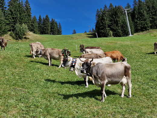 Wasserstube14.jpg