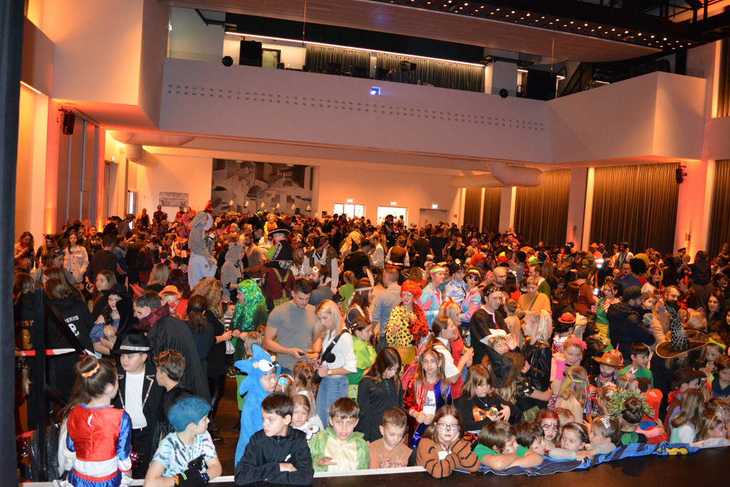 Bild 3 _Fasching in Hard.jpg