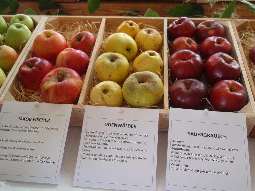 2014_10_05 Obstausstellung OGV Vereinshaus__03.JPG