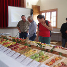 2014_10_05 Obstausstellung OGV Vereinshaus__13.JPG