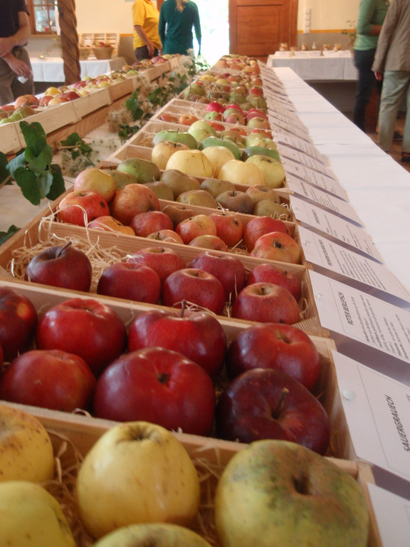 2014_10_05 Obstausstellung OGV Vereinshaus__42.JPG