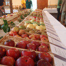 2014_10_05 Obstausstellung OGV Vereinshaus__42.JPG