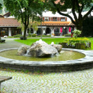 P1008042 _002_.jpg