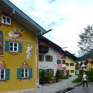 P1110590.JPG