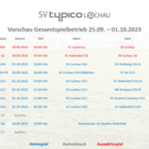 Tolle Nachwuchsarbeit beim SV typico Lochau (Symbolfotos)