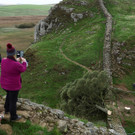 2023-09-28T120547Z_739381906_RC2OH3A5FPUS_RTRMADP_3_BRITAIN-TREE.JPG
