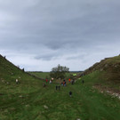 2023-09-28T122937Z_247244324_RC2OH3AXDUBJ_RTRMADP_3_BRITAIN-TREE.JPG