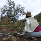2023-09-28T123812Z_1091248458_RC2OH3AAHV2F_RTRMADP_3_BRITAIN-TREE.JPG