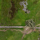2023-09-28T141937Z_2143257339_RC2QH3AW2CZX_RTRMADP_3_BRITAIN-TREE.JPG