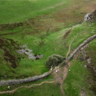 2023-09-28T142048Z_1051108578_RC2QH3AAZKVZ_RTRMADP_3_BRITAIN-TREE.JPG