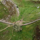 AFP_33WY76Z.jpg