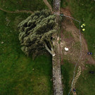 AFP_33WY782.jpg