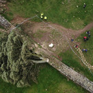 AFP_33WY783.jpg