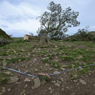 AFP_33WZ23M.jpg