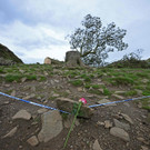 AFP_33WZ24P.jpg