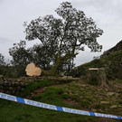 AFP_33WZ269.jpg