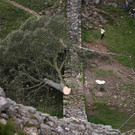 AFP_33WZ3F2.jpg