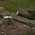 AFP_33WZ3MW.jpg