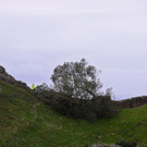 AFP_33WZ4YD.jpg