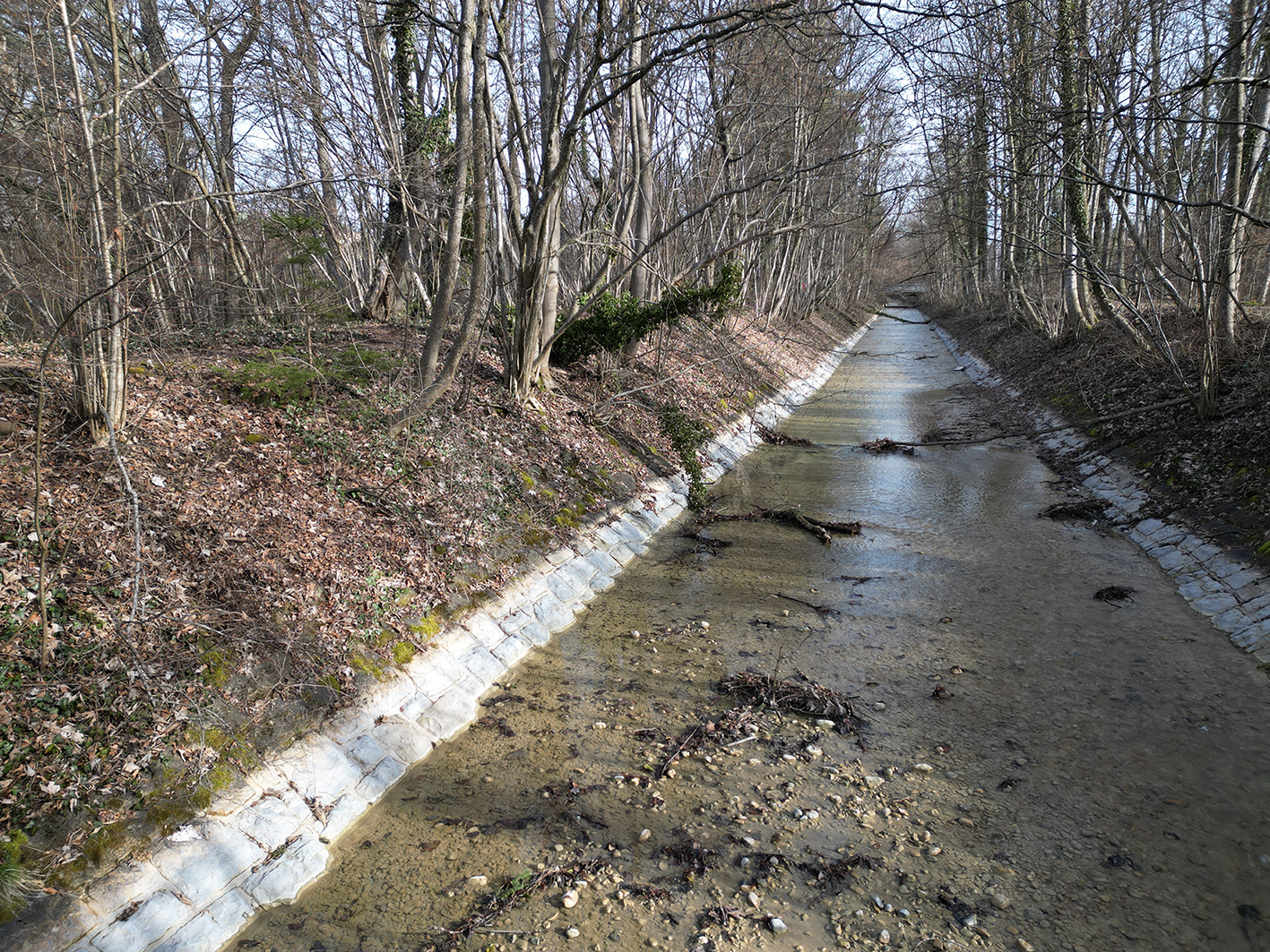 M__ndung_EntfernungDamm_Strukurierung_neu.jpg