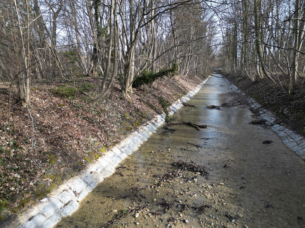 M__ndung_EntfernungDamm_Strukurierung_neu.jpg