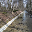 M__ndung_EntfernungDamm_Strukurierung_neu.jpg