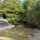 20230929_Ruggbach Hochwasserschutz Spatenstich-23.jpg