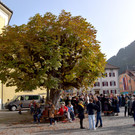 DSC_0303 9.JPG