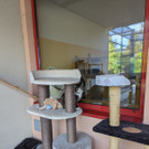 PXL_20231002_135540216.jpg