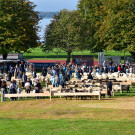 Große Schafausstellung in Lochau