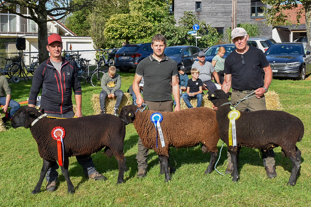20231001_Schafausstellung-22.jpg