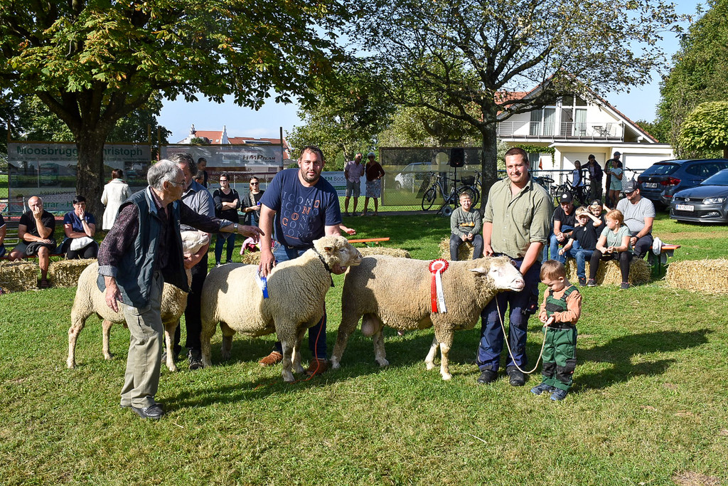 20231001_Schafausstellung-24.jpg