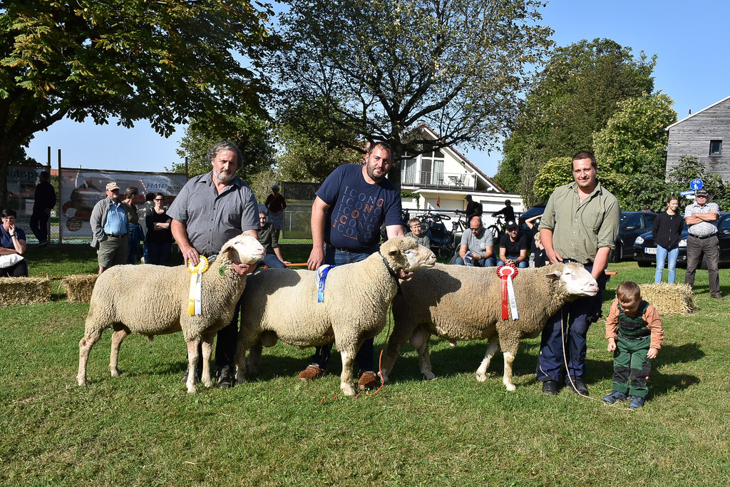 20231001_Schafausstellung-25.jpg