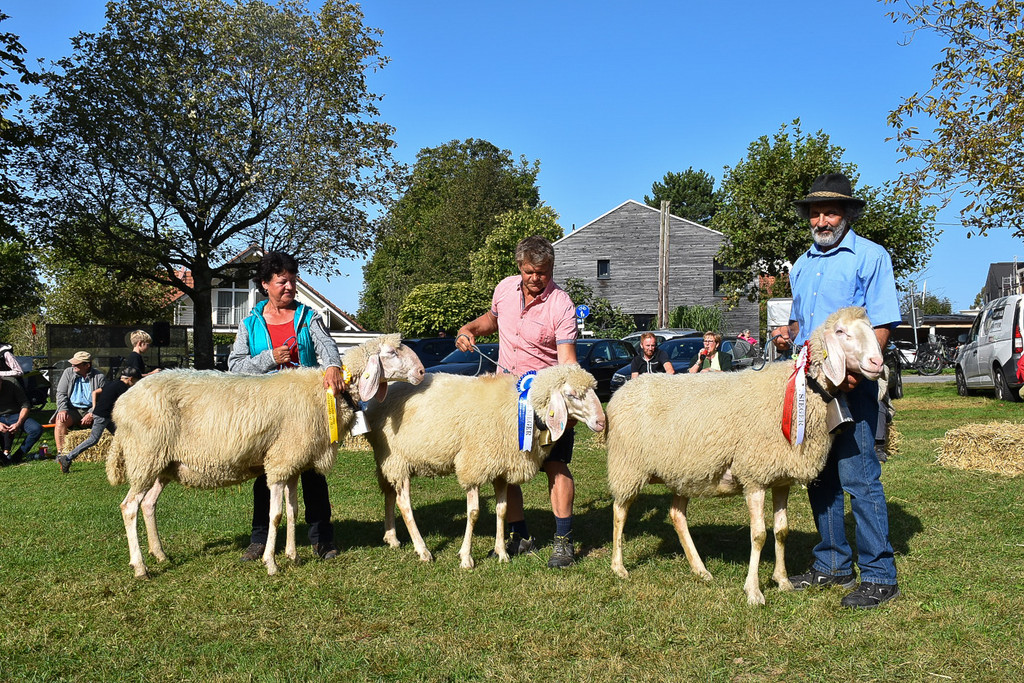 20231001_Schafausstellung-36.jpg