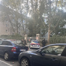 IMG_1537.jpeg