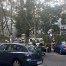 IMG_1542.jpeg