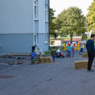 20231001_Schafausstellung-3.jpg