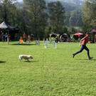 IMG_0212.jpg