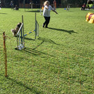 IMG_0217.JPG