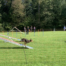 IMG_0233.jpg