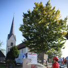IMG_7086.JPG