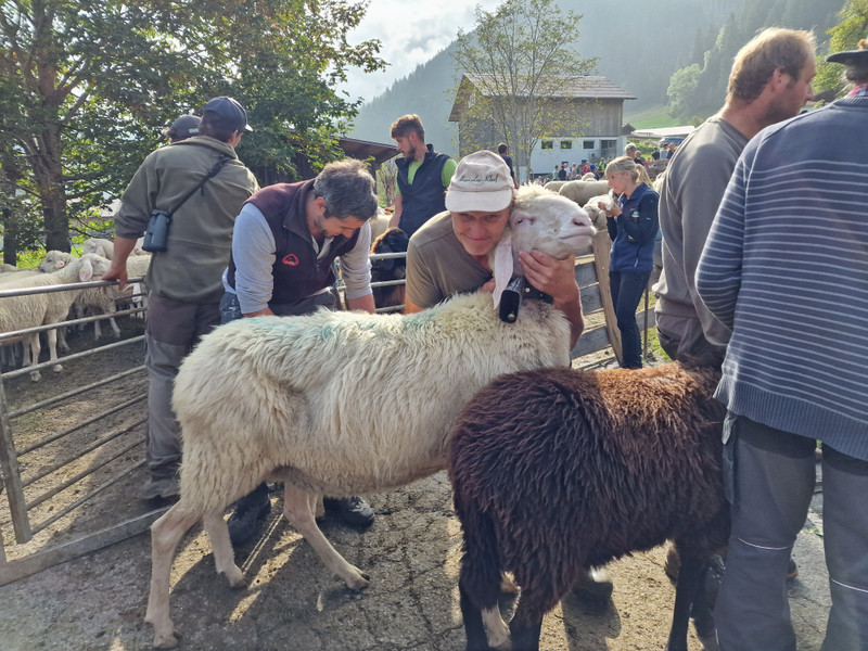 Garnera8.jpg