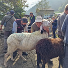 Garnera8.jpg