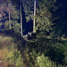 image00014.jpeg