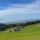 IMG-20231007-WA0029.jpg
