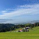 IMG-20231007-WA0030.jpg