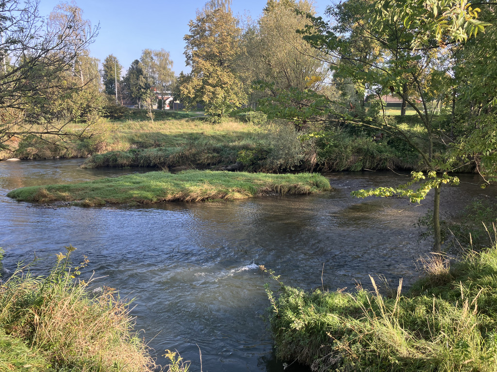 IMG_1366 - Kopie.JPG