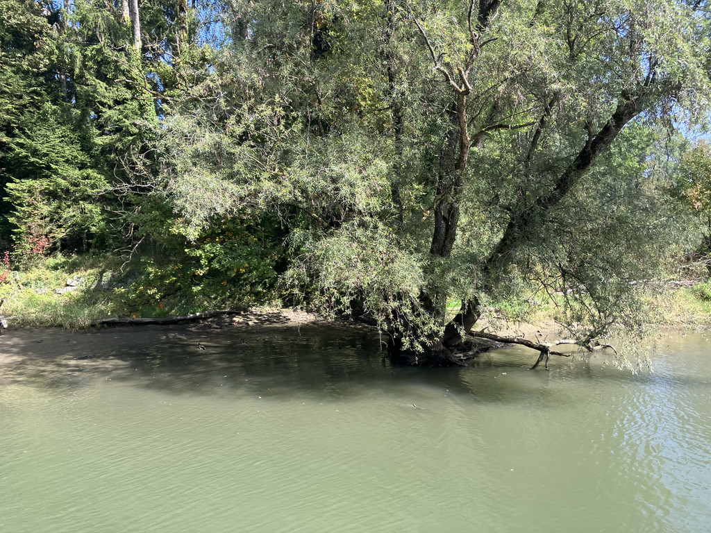 IMG_1393 - Kopie.JPG